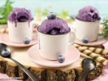 Heidelbeereis ohne Ei selber machen - Foodblog Topfgartenwelt