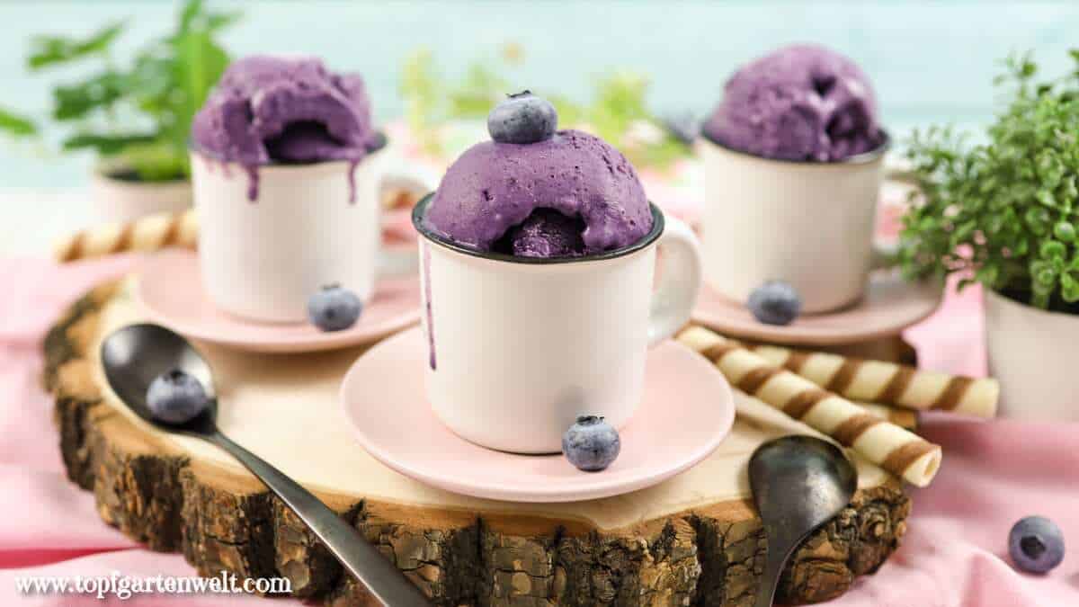 Heidelbeereis ohne Ei selber machen - Foodblog Topfgartenwelt