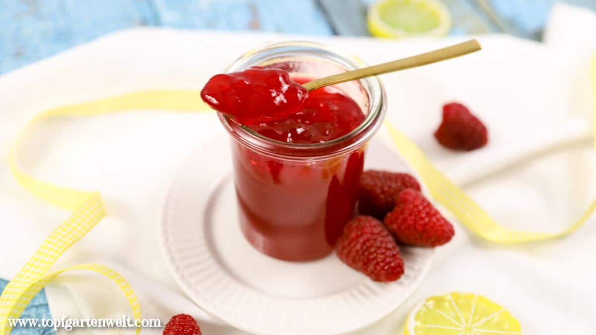 Himbeer-Zitronen-Marmelade ohne Kerne - Foodblog Topfgartenwelt