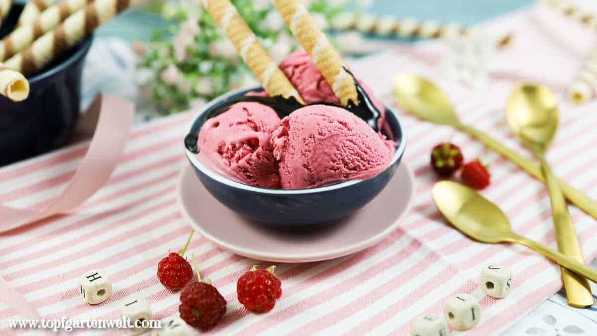 cremiges Himbeereis ohne Ei aus der Eismaschine - Foodblog Topfgartenwelt