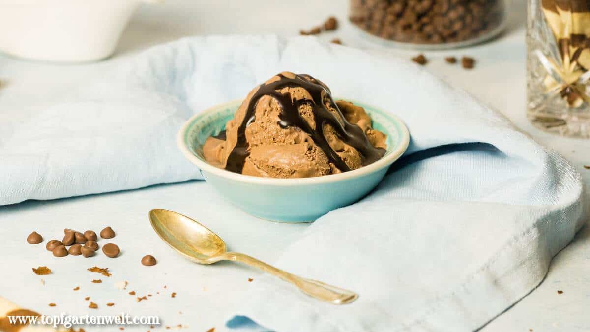 weltbestes Schokoladeneis ohne Ei aus der Eismaschine selber machen - Foodblog Topfgartenwelt