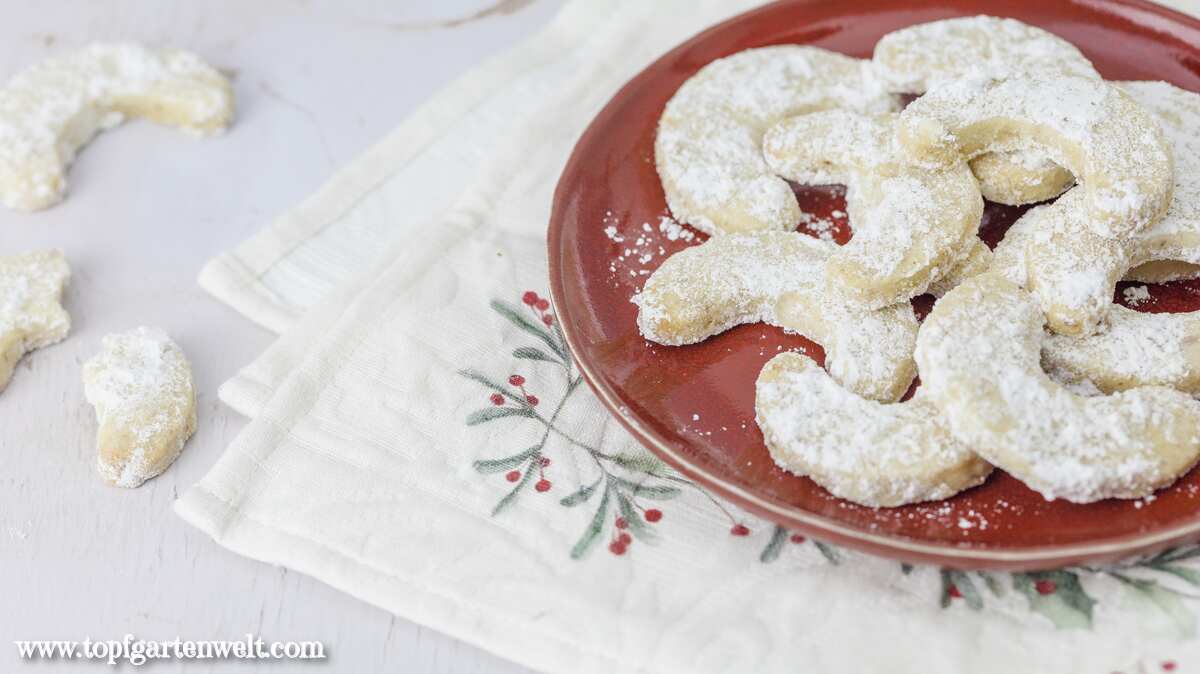 Vanillekipferl ohne Mandeln auf einem weißen Teller. Im Hintergrund ein weihnachtliches Tuch. Foodblog Topfgartenwelt