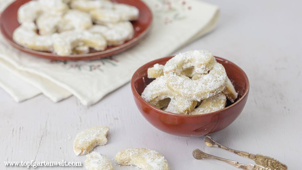Die besten Vanillekipferl mit Walnüssen in einer roten Schale. Foodblog Topfgartenwelt