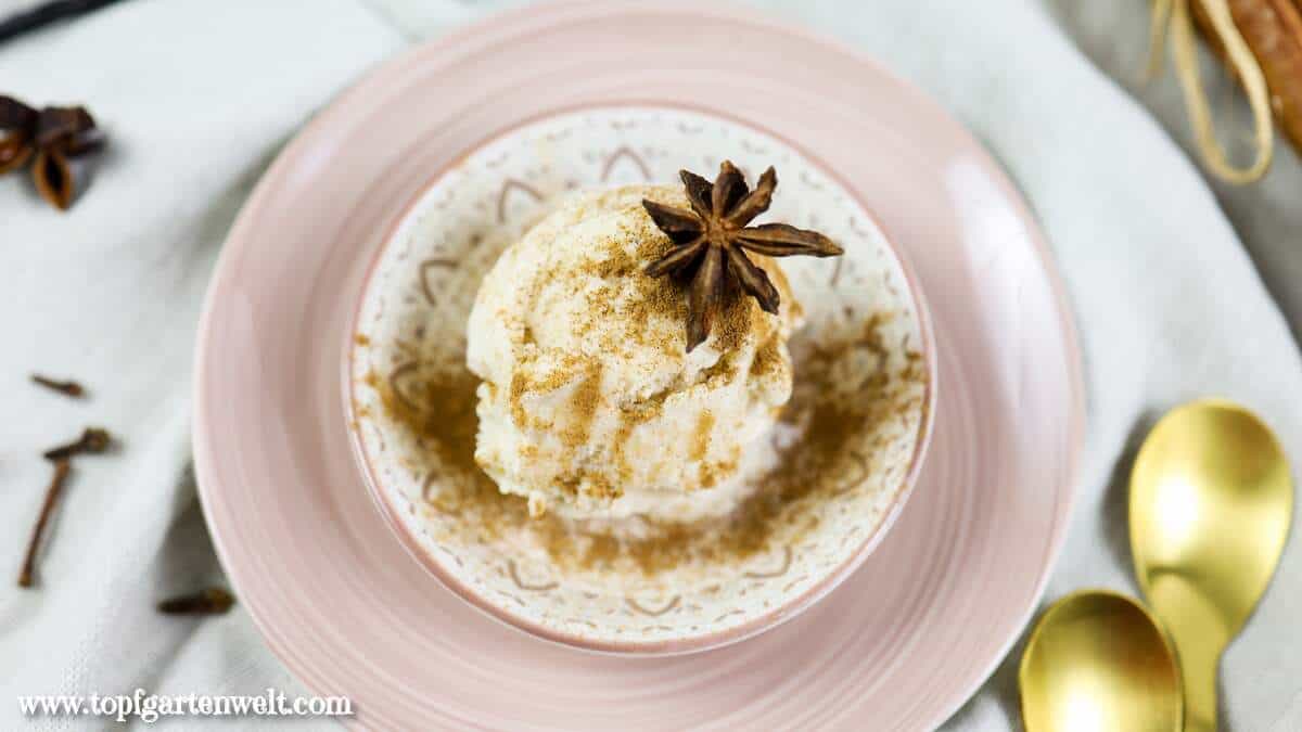 Apfeleis mit Zimt und Vanille ohne Ei - Foodblog Topfgartenwelt