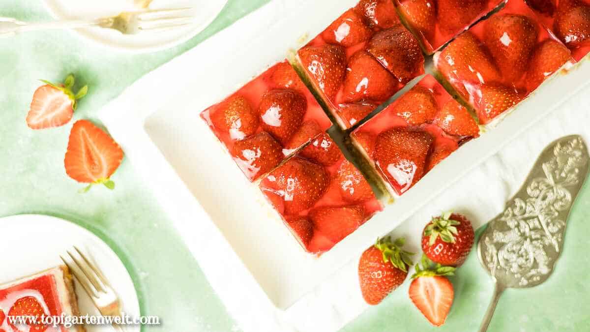 Erdbeerschnitten mit Quark bzw. Topfen und Biskuitboden - Foodblog Topfgartenwelt