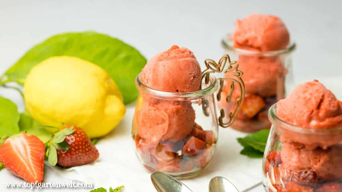 Erdbeersorbet mit der Eismaschine selber machen ohne Ei - Foodblog Topfgartenwelt