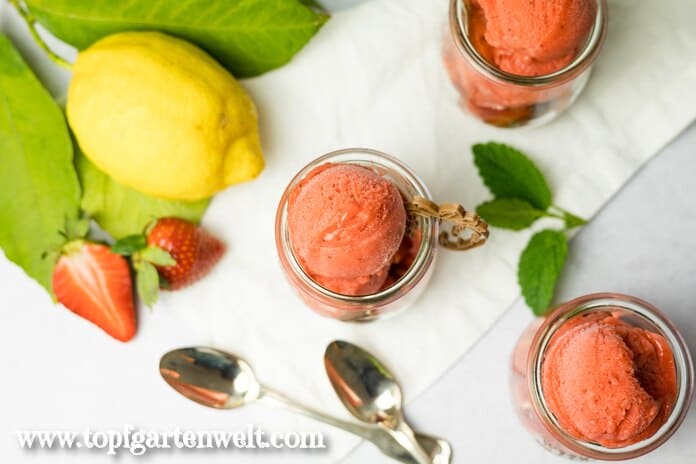 Köstliches Erdbeersorbet serviert in Weck-Tulpengläsern.
