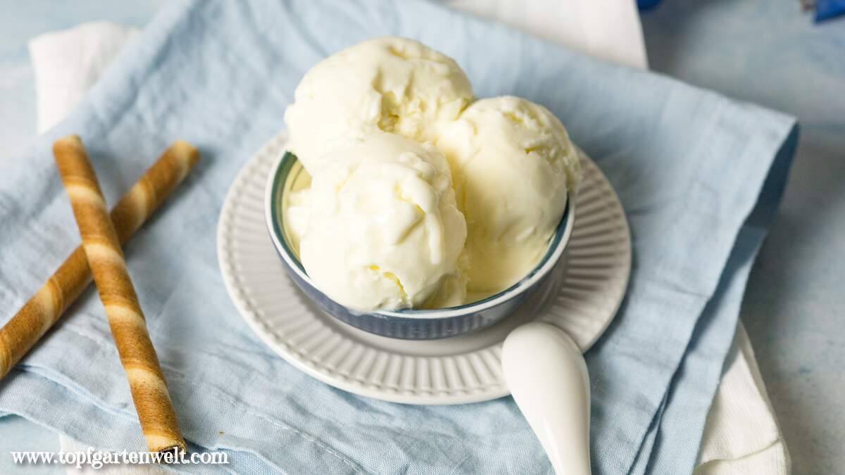 italienisches Joghurt-Eis ohne Ei zum selber machen mit der Eismaschine - Foodblog