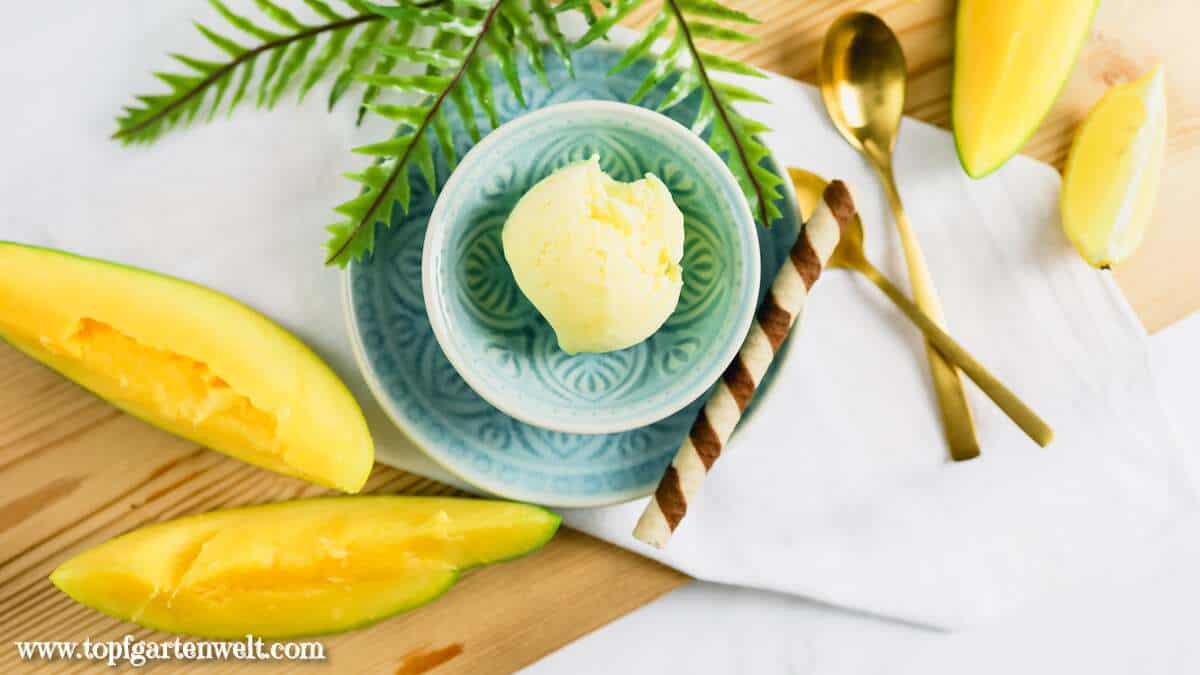 Mango Eis selber machen mit der Eismaschine ohne Ei - Foodblog Topfgartenwelt