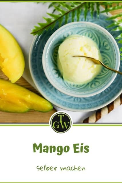 Mango Eis - Pinterest - Foodblog Topfgartenwelt