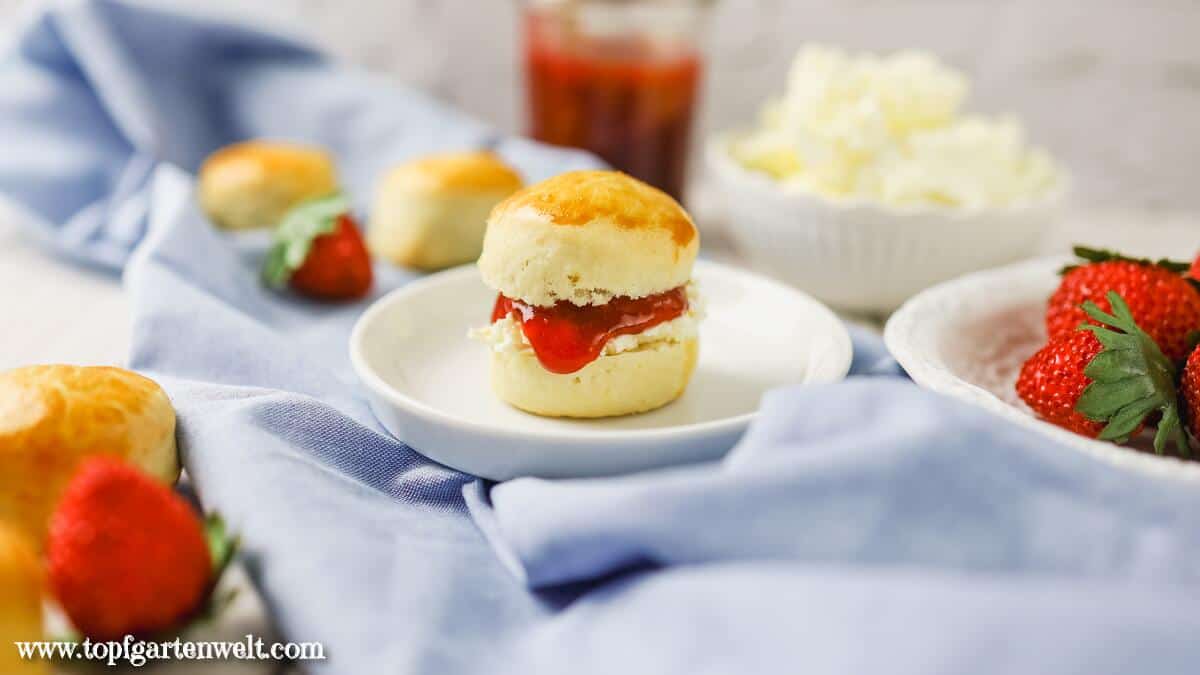 Scones mit Clotted Cream oder alternativ Mascarpone und Erdbeermarmelade aus Genießen im Garten, erschienen im Callwey-Verlag - Foodblog Topfgartenwelt
