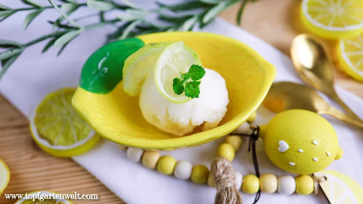 Zitronensorbet selber machen ohne Ei mit der Eismaschine ganz italienisch - Foodblog Topfgartenwelt