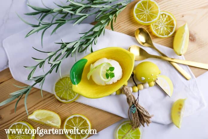 Zitronensorbet in einer gelben Schale. Daneben liegt ein Rosmarinzweig und aufgeschnittene Zitronen.