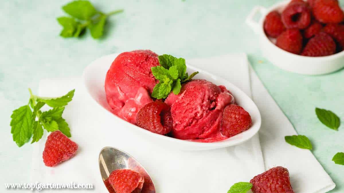 Himbeersorbet selber machen in der Eismaschine ohne Ei - Foodblog Topfgartenwelt