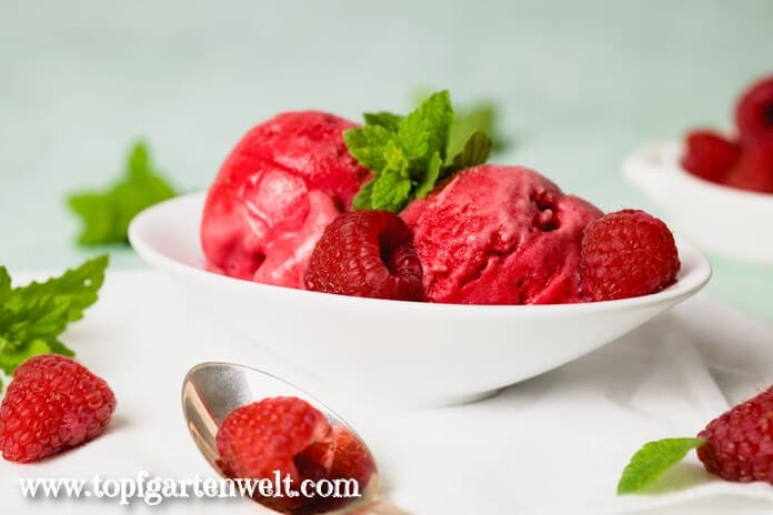 Zwei Kugeln Himbeersorbet sind in einer kleinen weißen Schale angerichtet. Sie sind mit Minze und frischen Früchten garniert.