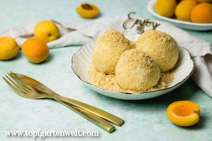 Drei Stück Marillenknödel in Butterbrösel sind in einer Schale angerichtet. Im Hintergrund sind einige frische Früchte zu sehen.
