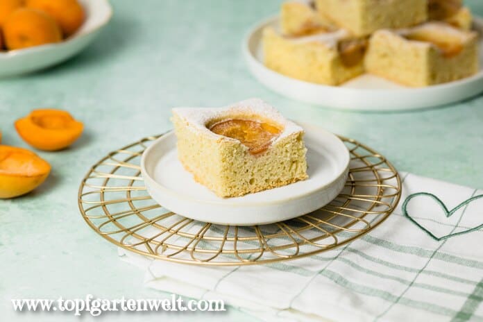 Ein Stück Marillenkuchen liegt auf einem Teller. Im Hintergrund sind Fruchthälften zu sehen und ein Kuchenteller.