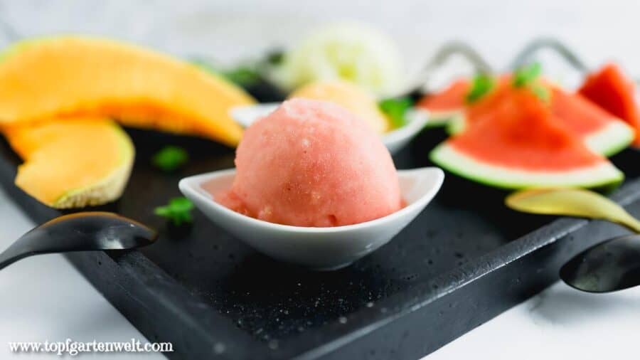 Melonensorbet aus der Eismaschine - Foodblog Topfgartenwelt