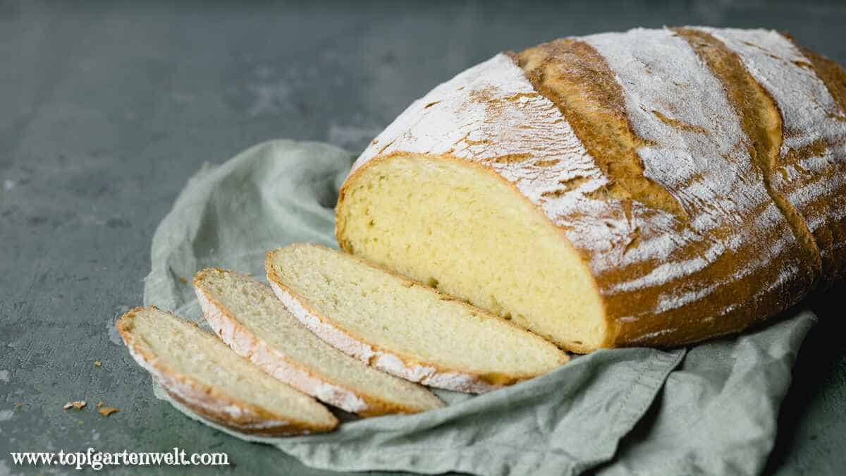 Pane Pugliese mit Lievito Madre und Trockenhefe - Foodblog Topfgartenwelt