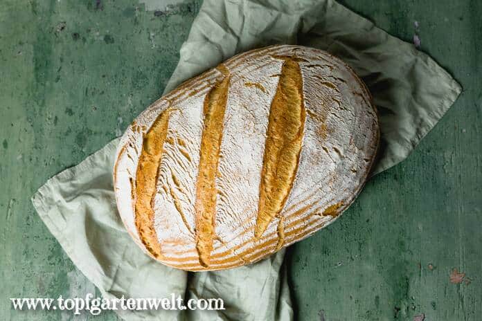 Das Pane Pugliese liegt auf einem grünen Leinentuch. Dieses befindet sich auf einem alten, grünen Holzbrett.