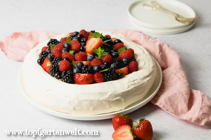 Eine Pavlova Torte belegt mit vielen verschiedenen Beeren ist auf einem weißen Teller angerichtet. Im Hintergrund ist ein rosarotes Tuch zu sehen.