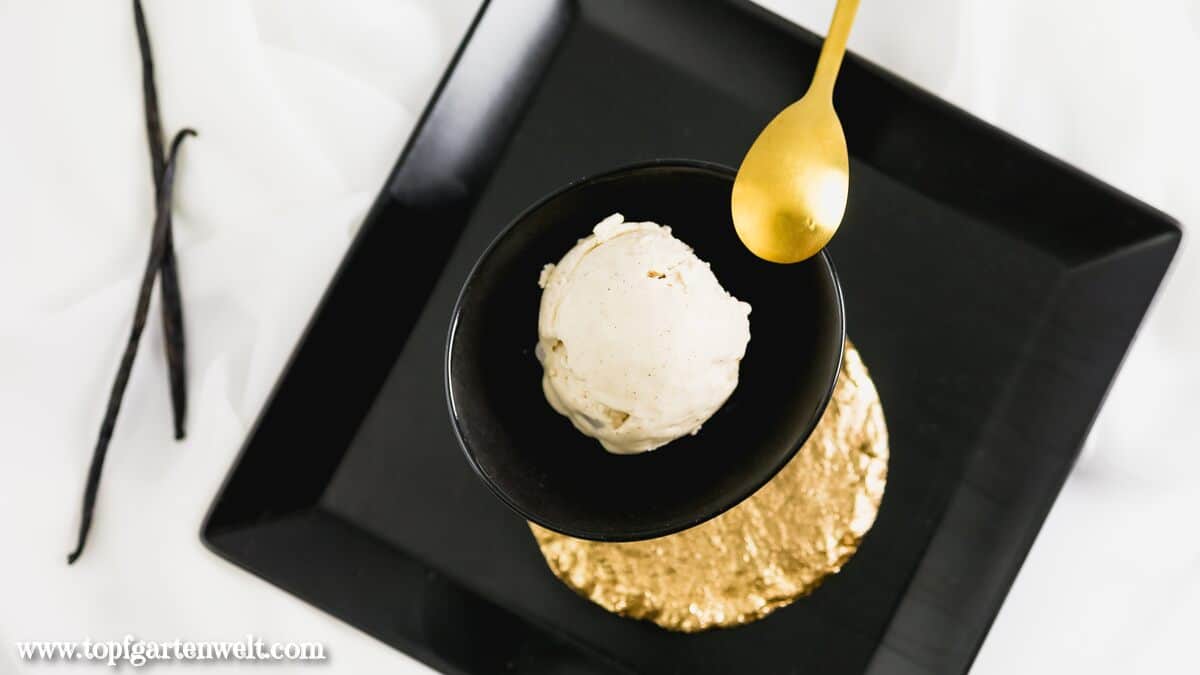 veganes Vanilleeis selber machen mit Hafermilch - Foodblog Topfgartenwelt
