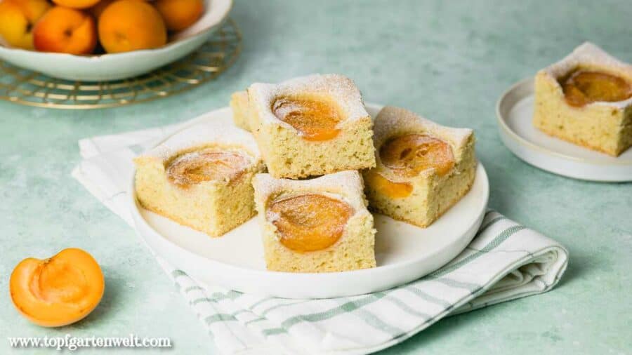 Marillenkuchen vom Blech mit Öl - Foodblog Topfgartenwelt
