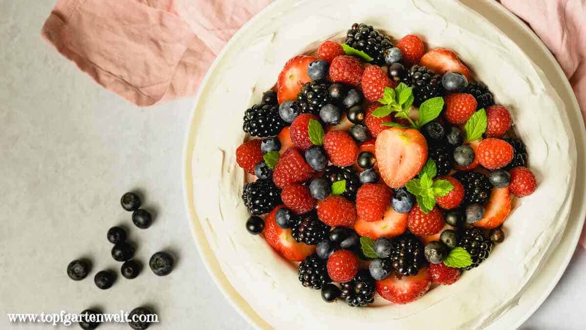 Pavlova Torte mit Beeren, Baiser-Torte - Foodblog Topfgartenwelt