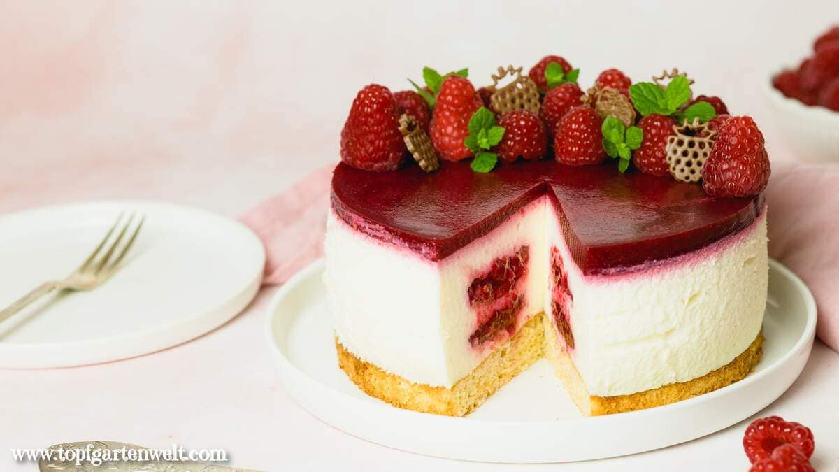 Himbeer Joghurt Torte mit Biskuitboden - Foodblog Topfgartenwelt