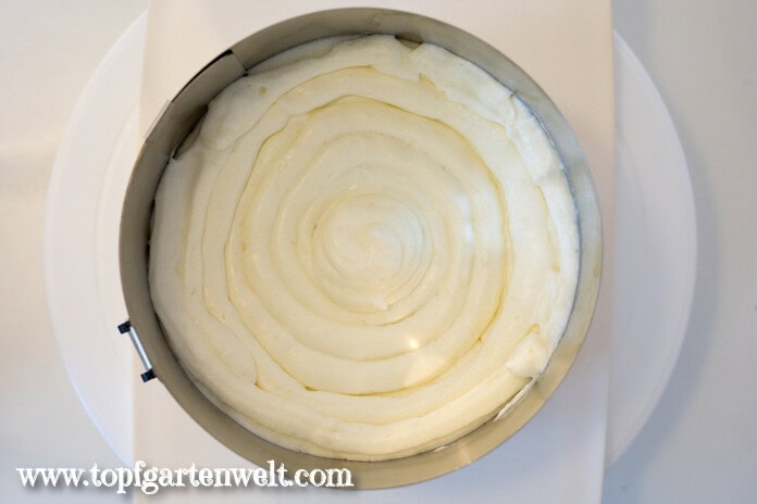 Fruchtfüllung bei der Himbeer Joghurt Torte abdecken - Foodblog Topfgartenwelt