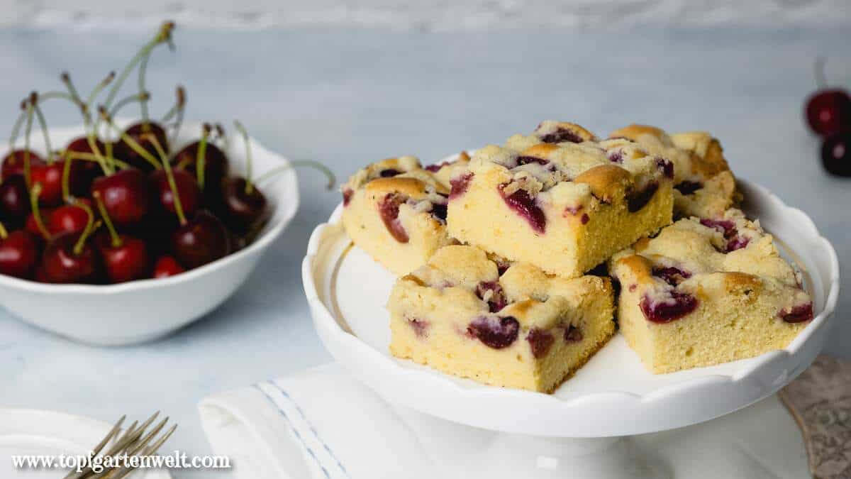 Kirsch-Streuselkuchen vom Blech aus Rührteig mit frischen Kirschen - Foodblog