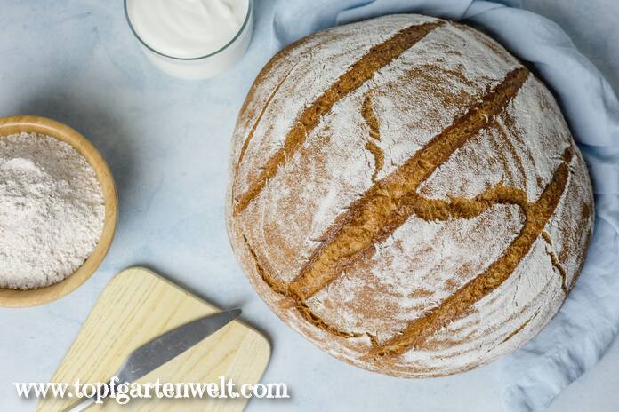 Ein Laib Dinkel Joghurt Brot liegt zum Anschneiden bereit.