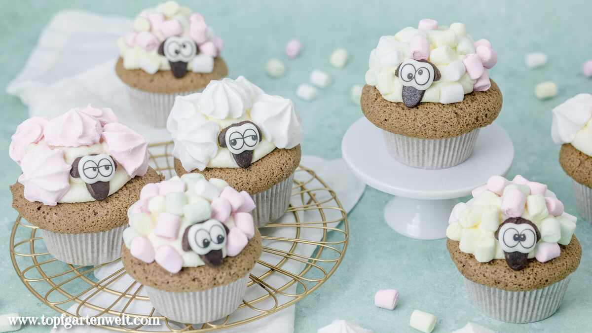 Schäfchen Muffins stehen auch einem goldenen Abkühlgitter. Sie sind mit Baiser-Tupfen und Mini-Marshmallows verziert.