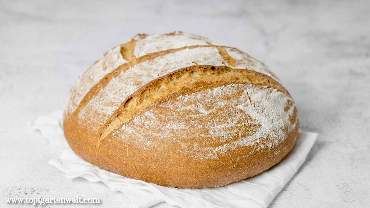 Dieses Buttermilchbrot wird mit Trockenhefe gebacken und zeichnet sich durch eine krosse Krume aus.