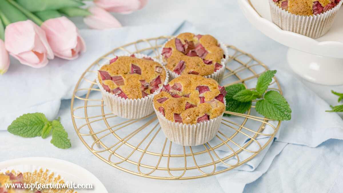 Köstliche Rhabarber-Muffins mit Buttermilch und einem Hauch Zitronenmelisse. Sie stehen auf einem goldenen Abkühlgitter.