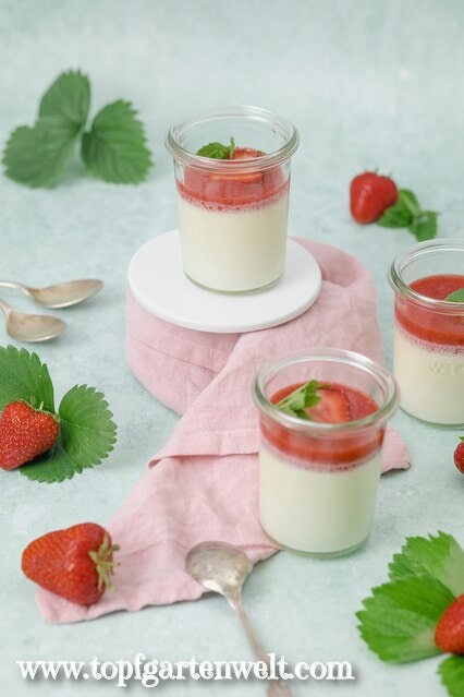Drei Gläser mit italienischem Sahnepudding sind auf einer grünen Platte angerichtet. Daneben liegen Erdeeren und Blätter.
