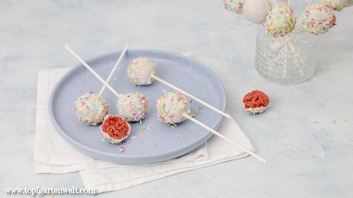 Köstliche Cake Pops ohne Backen aus Rührteig vermischt mit Frischkäse und Marmelade liegen auf einem blauen Teller.