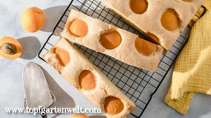 Auf einem schwarzen Abkühlgitter ist ein einfacher Aprikosenkuchen mit Öl zu sehen.