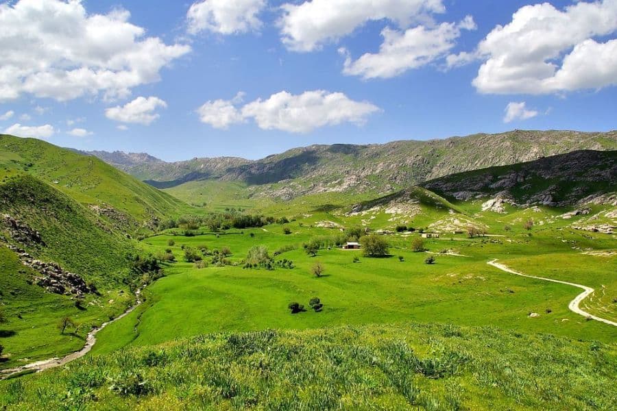 uzbekistan landskap berg och gräs