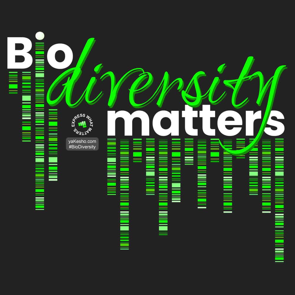 Biodiversity Matters Design