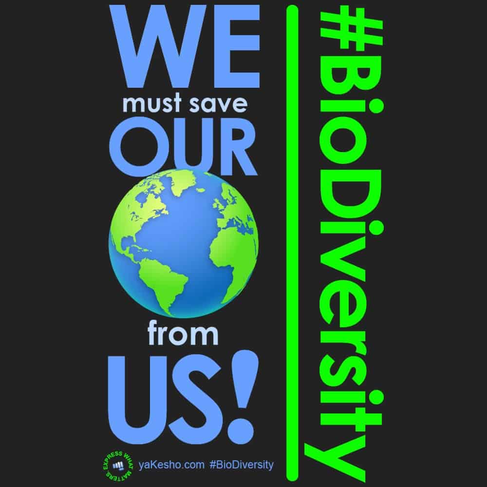 We Must Save Our World from Us! Design