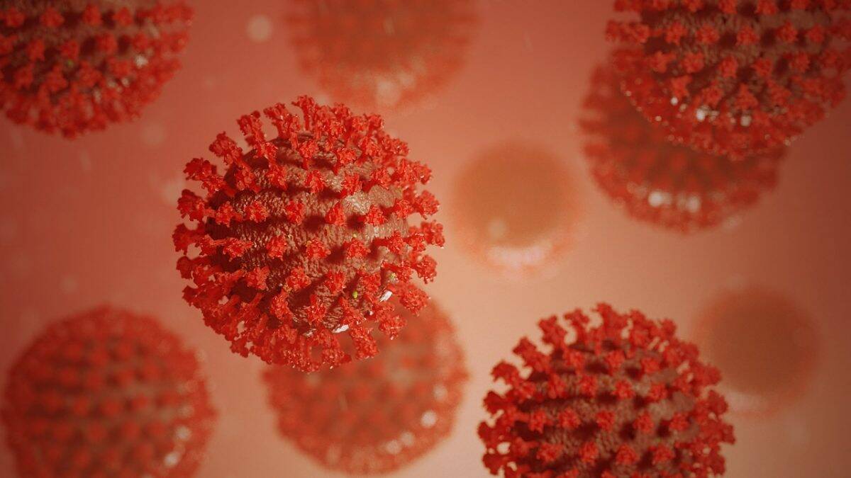 Microscopic image of the coronavirus Covid-19.
