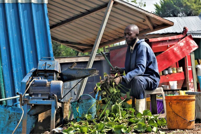 Andrew Chirchir Water Hyacinth Kenya