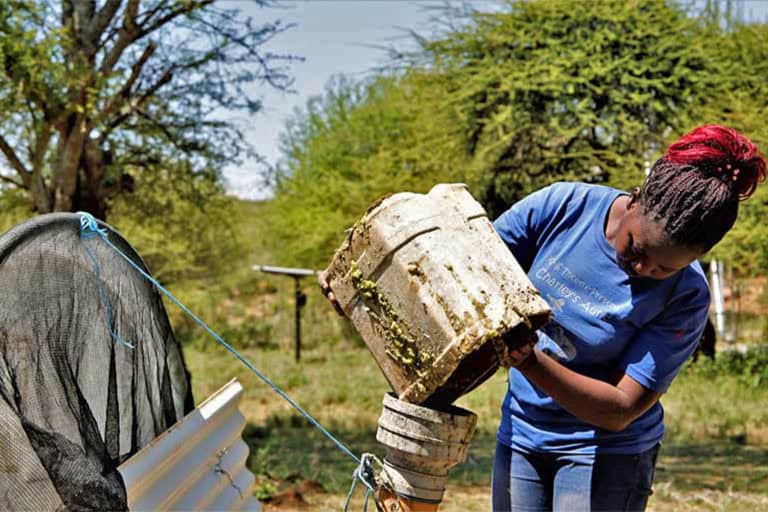 Abigael Hisa Biogas Digester Kenya Invasive
