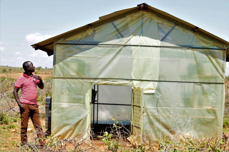 Francis Merinyi Biocontrol Insects Kenya
