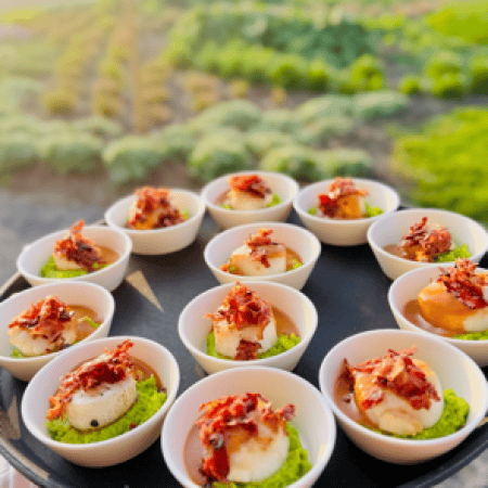 coquille
