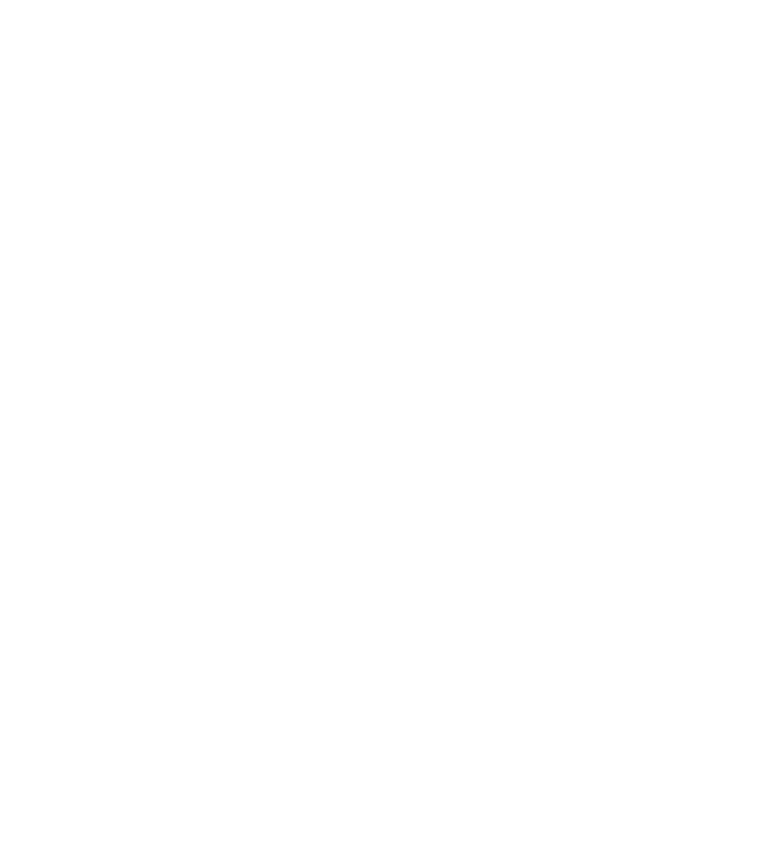 A completely blank white image with no visible details or objects.