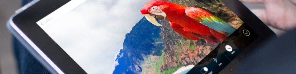 Our Top 10 Recommended Design Tools - Adobe Creative Suite 