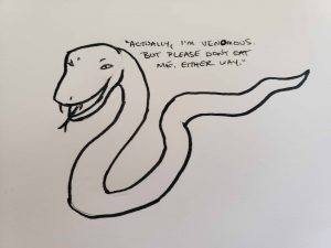 cute snake says, "Actually, I'm venomous, but please don't eat me either way"