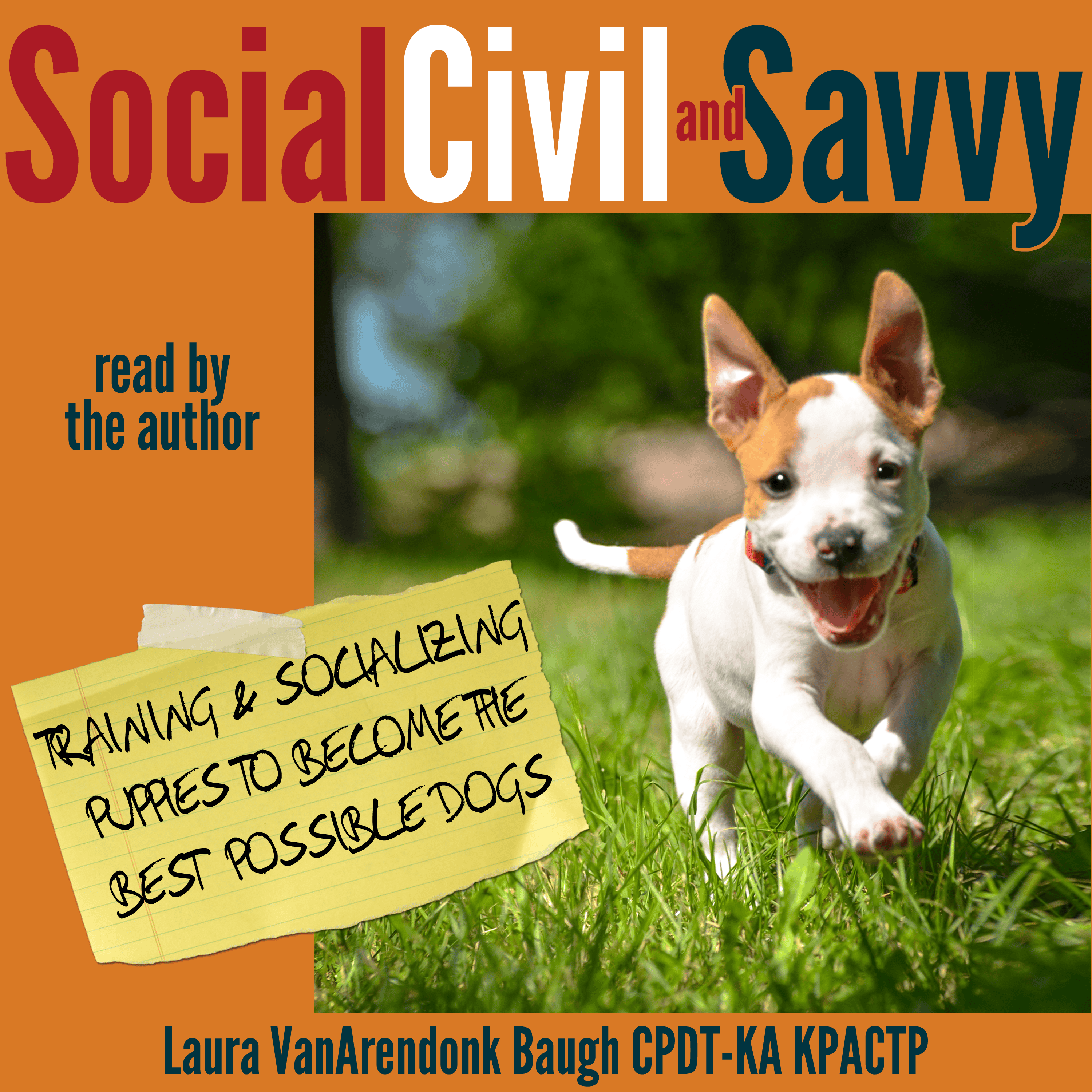 social civil savvy audiobook